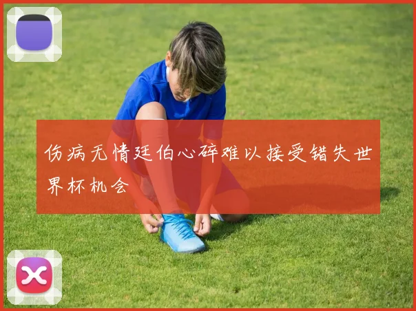 伤病无情廷伯心碎难以接受错失世界杯机会