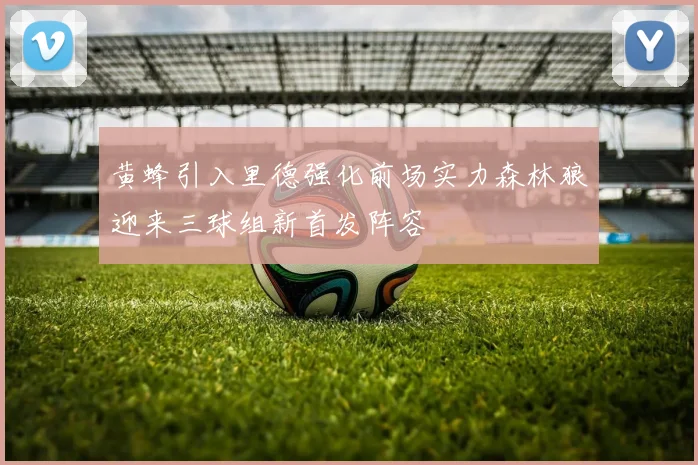 黄蜂引入里德强化前场实力森林狼迎来三球组新首发阵容